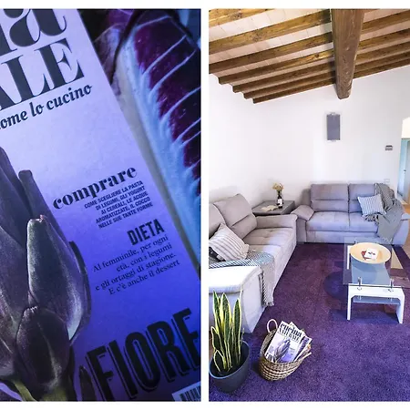 Castellaccia Contemporary *